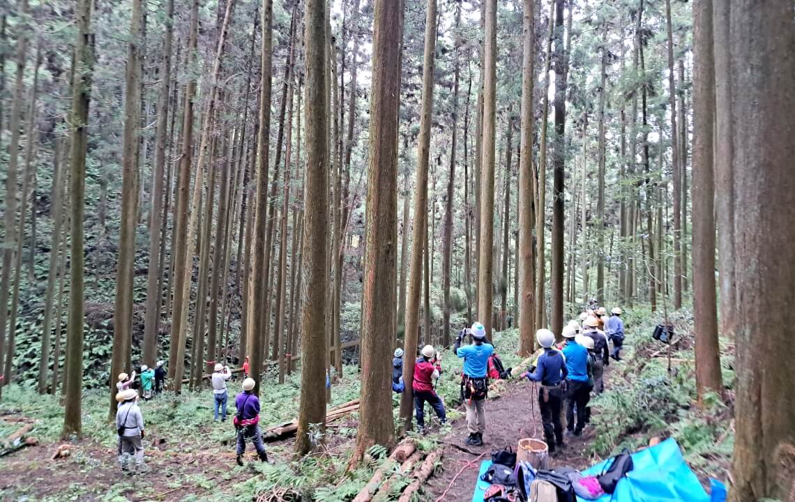 寄付活動・自然保護活動(奥多摩の森林保全活動)